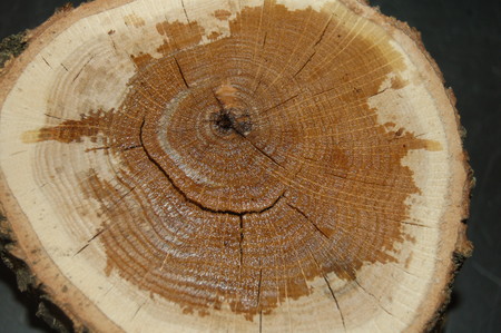 Химическая окраска древесины
