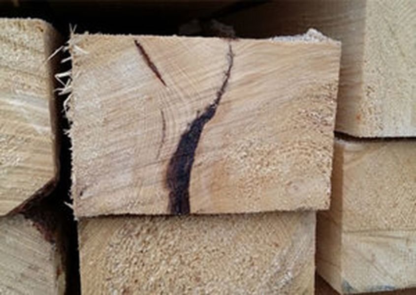 Классификация дефектов древесины