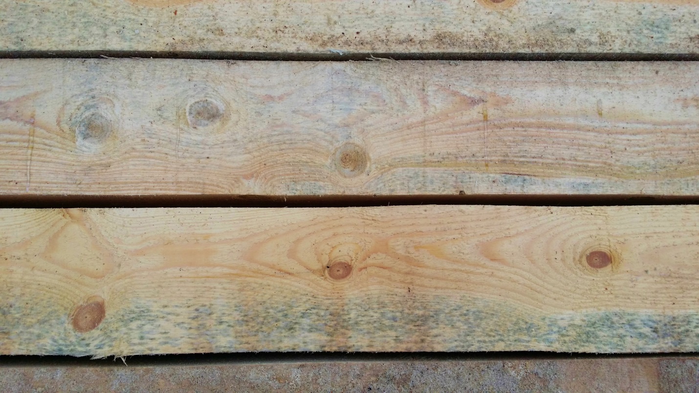 грибок на деревянной столешнице